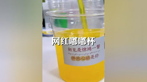 用这3款杯子，夏日自制冷饮也能搬到奶茶店级品质！